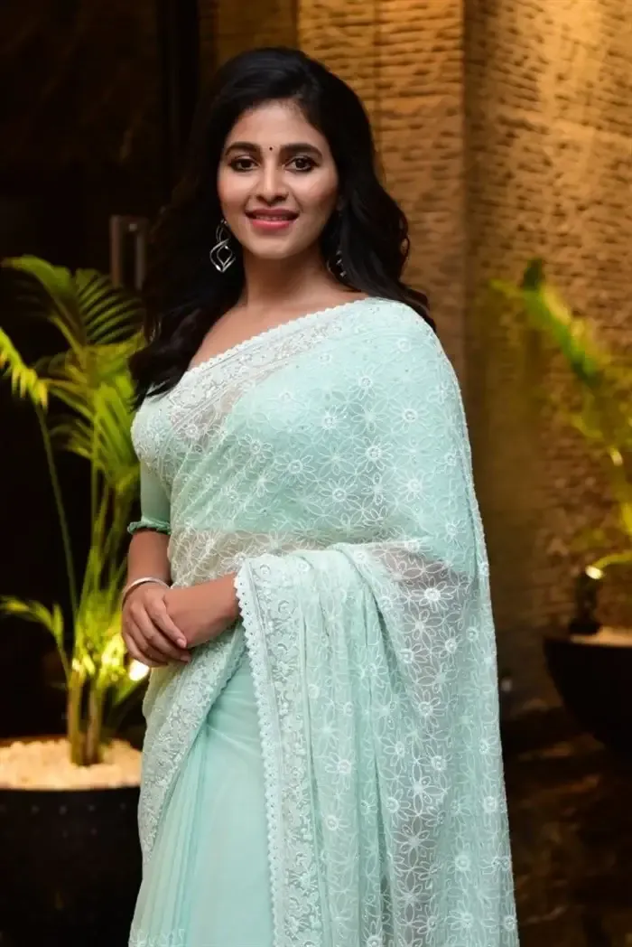 SOUTH INDIAN ACTRESS ANJALI STILLS IN TRADITIONAL LIGHT GREEN SAREE 10